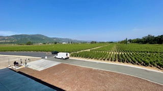 ワイナリー2階から撮影した、ブドウ畑