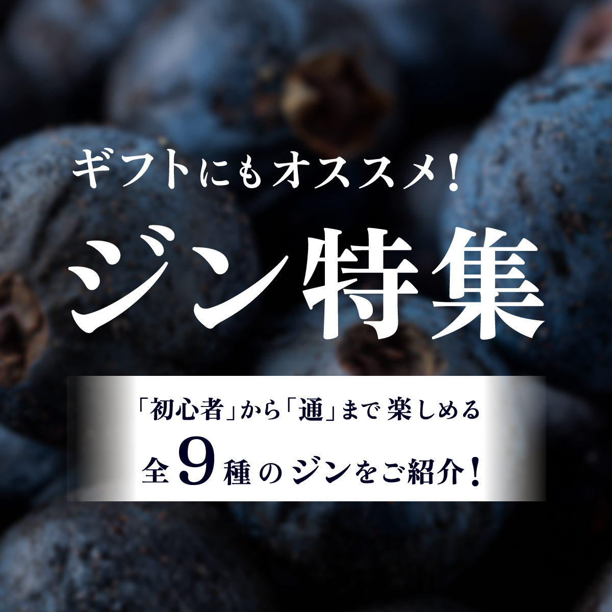 ギフトにもオススメ！ジン特集